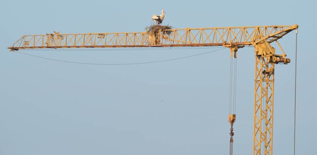 Das Storchennest ber Willsttt  | Foto: Lhnig Frank