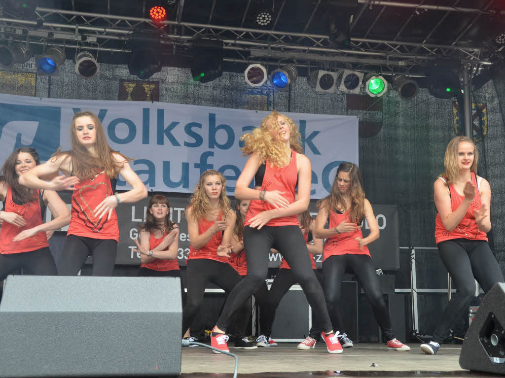 Acht Gruppen, eine Solistin und drei Show-Acts sorgten beim Streetdance-Wettbewerb auf der Marktplatzbhne in Staufen fr begeisterten Jubel