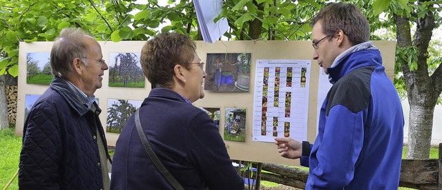 Phillip Tritschler informiert ber die...n Streuobstwiesen der Familie reifen.   | Foto: S. Mller