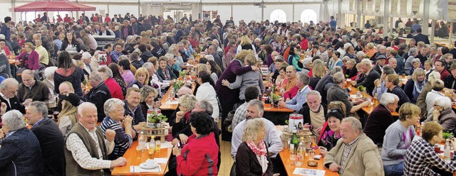 Rund 1200 Konzertbesucher im Festzelt ... Hutter und den Egerlndern begeistert  | Foto: Wilfried Dieckmann