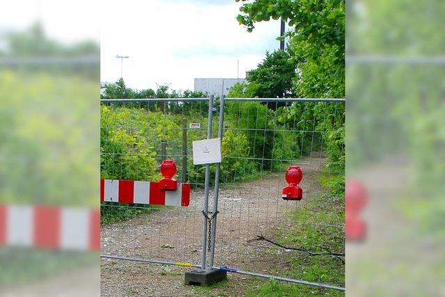 Rheinuferweg bleibt lange geschlossen