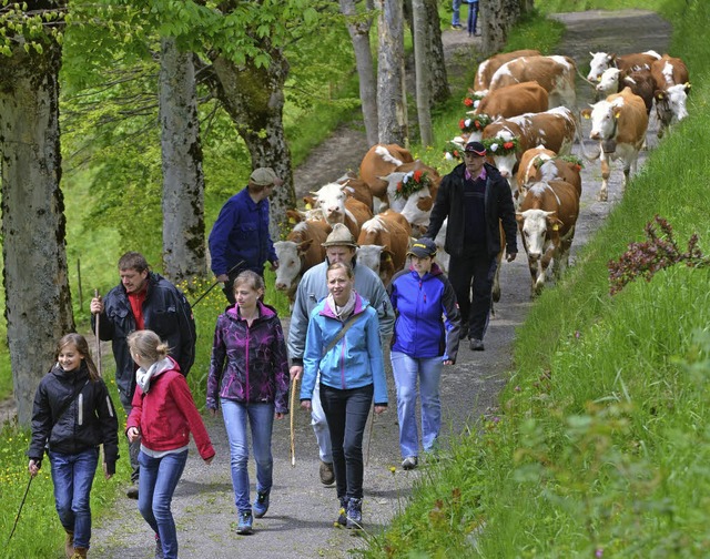 Ein schner Brauch und festlicher Anla...ieb zur Sommerweide nach Ungendwieden.  | Foto: Felix Held