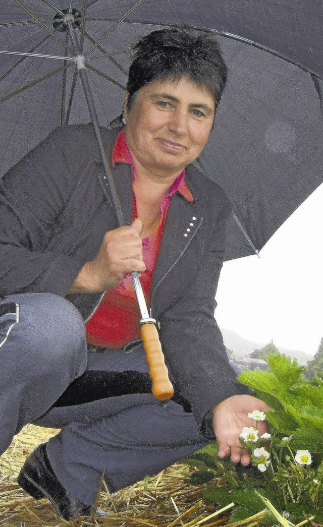 Unter dem Regenschirm inspiziert Silvi...sich um etwa zwei Wochen. Bild: Gerard  | Foto: Gerard