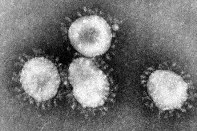 WHO warnt vor Coronavirus – Mann in Frankreich gestorben