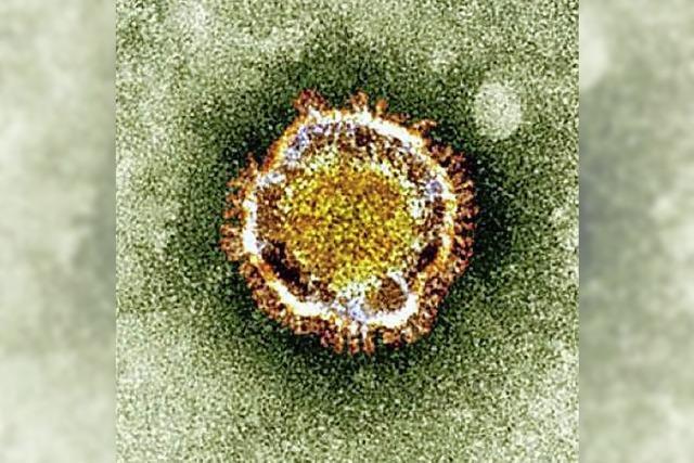 Der kleine Vetter von Sars: Warnung vor Coronavirus