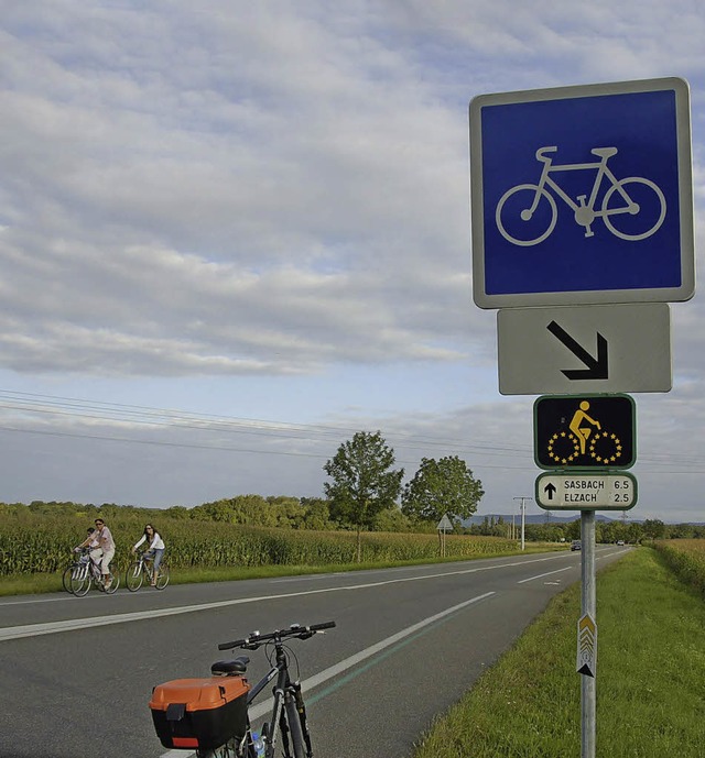 Schner Ausflug: Mit Bus und Fahrrad ins Elsass  | Foto: Trul