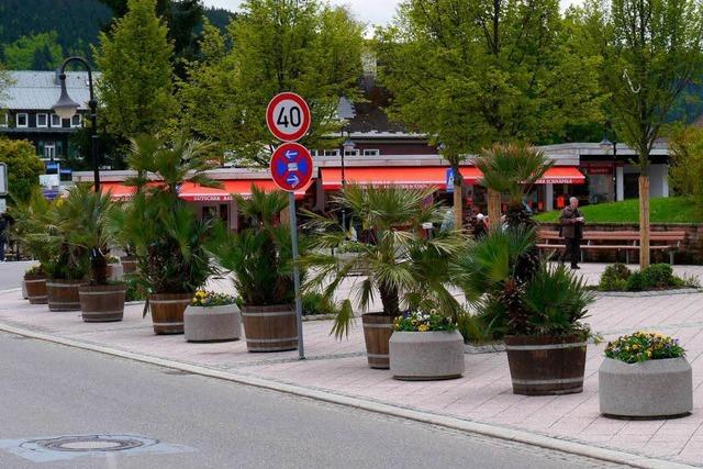 Roter Platz in Titisee: Palmen sollen Motorradfahrer vom Falschparken abhalten