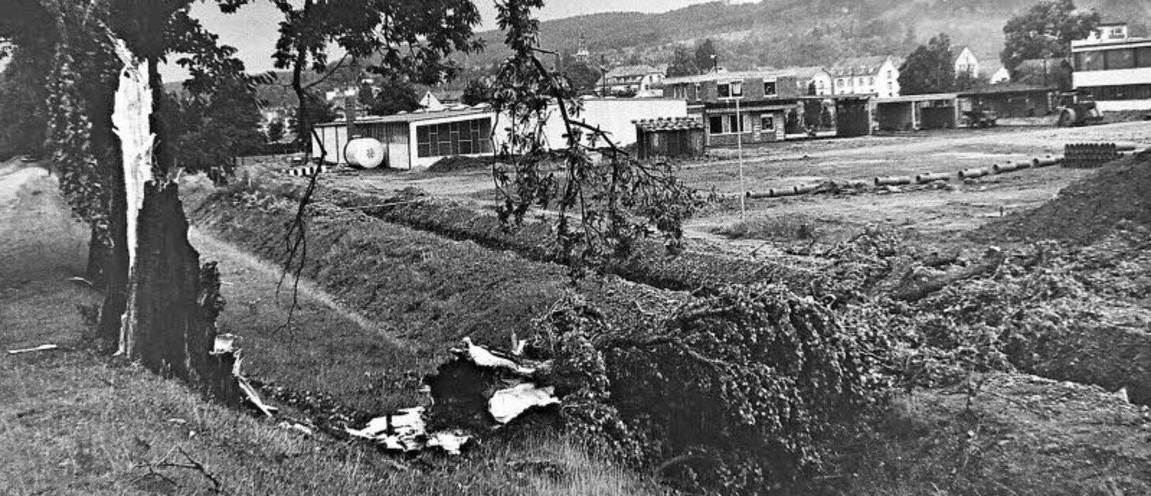 Schwere Unwetter im Juni 1963 waren de...fällt werden mussten, hier am Elzdamm.  | Foto: Archivfoto: Armin Möller