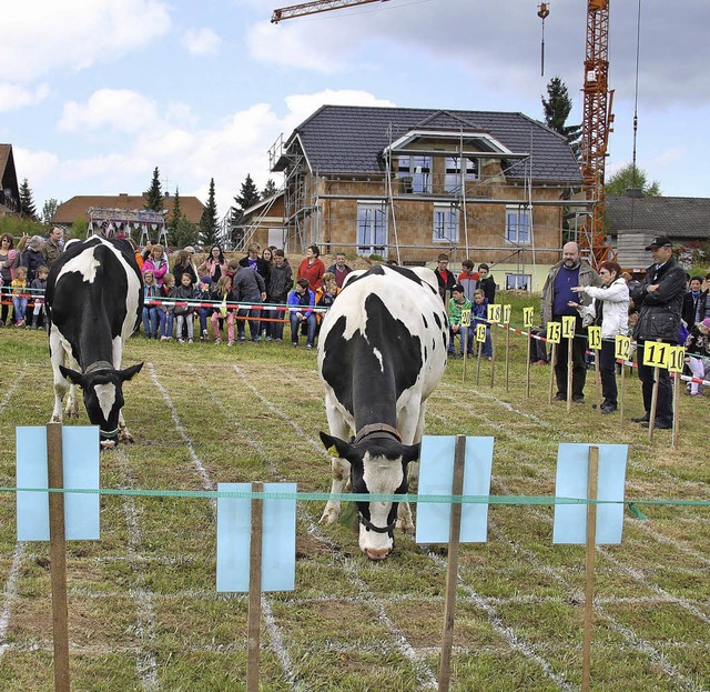 Gro und Klein erfreute sich nicht nur...er und die Blserjugend Grafenhausen.   | Foto: Birgit Albicker