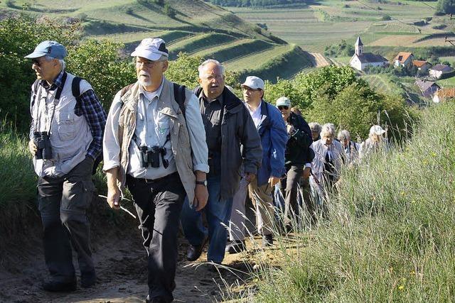 Wandern und Genieen am Kaiserstuhl