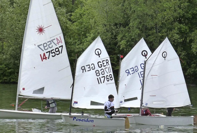 Auf dem Rhein bei Breisach gab es auch eine Wettfahrt fr ganz junge Segler.  | Foto: privat