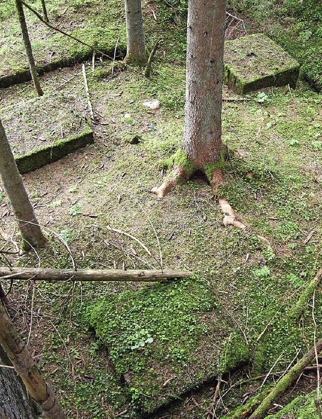 Flak und Seilhaltepunkte zum Schutz der Staumauer  | Foto: Friedbert Zapf