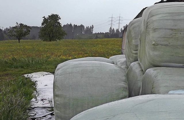 Derzeit auf  Wiesen zu sehende Silofut...jahr besonders energiereichen Grser.   | Foto:  WOLFGANG ADAM