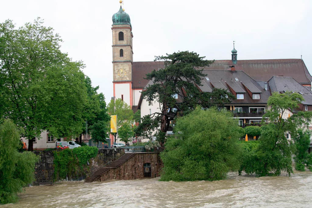 Spektakulre Blicke auf das Rhein-Hochwasser bei Bad Sckingen