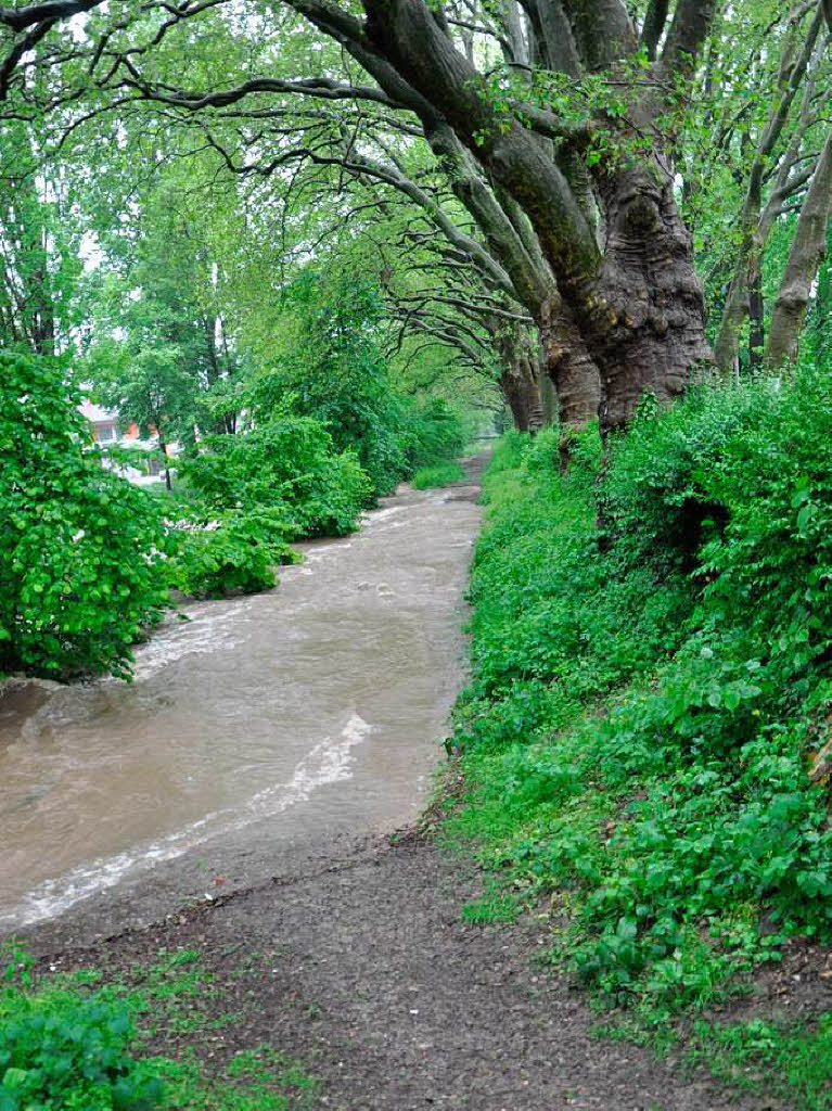 Hier ist Wandern nicht mehr mglich: Spazierweg am Neumagen in Staufen