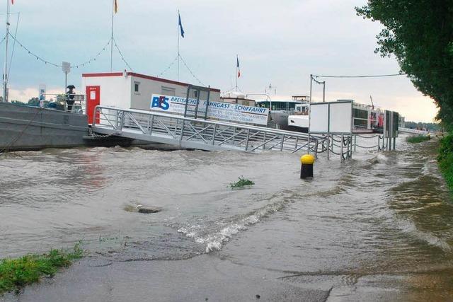 Der Rhein trat am Samstagmittag teilweise ber seine Ufer