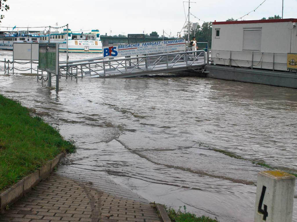 Impressionen vom Rheinhochwasser bei Breisach