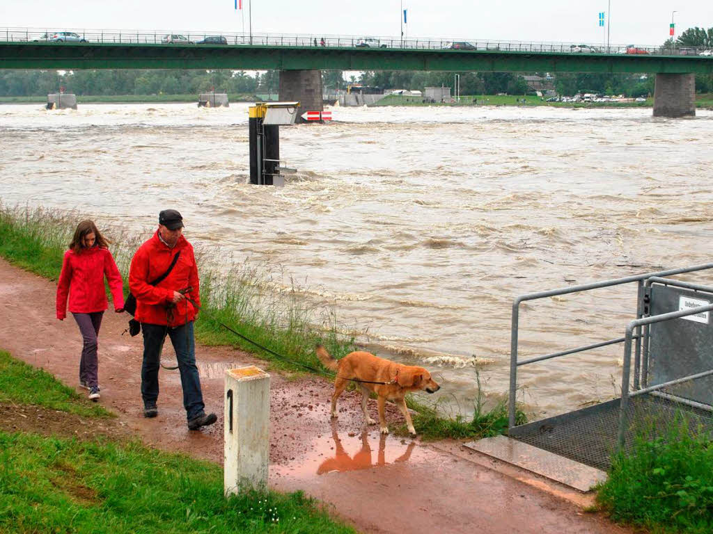 Impressionen vom Rheinhochwasser bei Breisach
