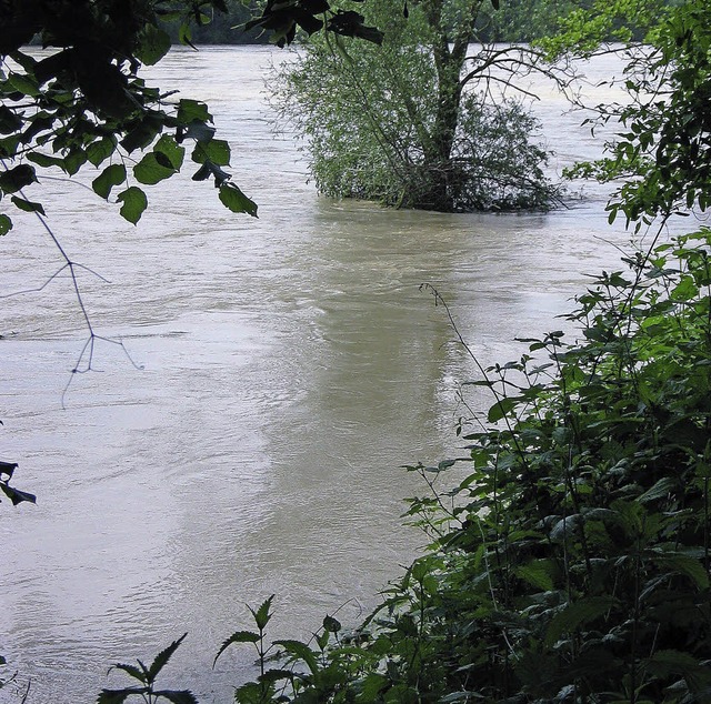 Der Rhein ist schon wieder leicht auf ... Bad Bellinger Kurgebiet gefhrlich.    | Foto: Jutta Schtz