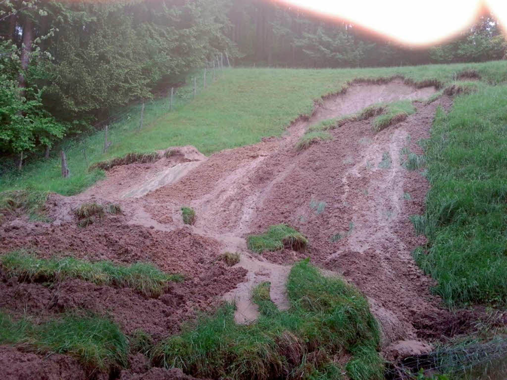 Das Hochwasser an der Kander und am Rhein, wie es die BZ-Redakteure und unsere Leser sahen.