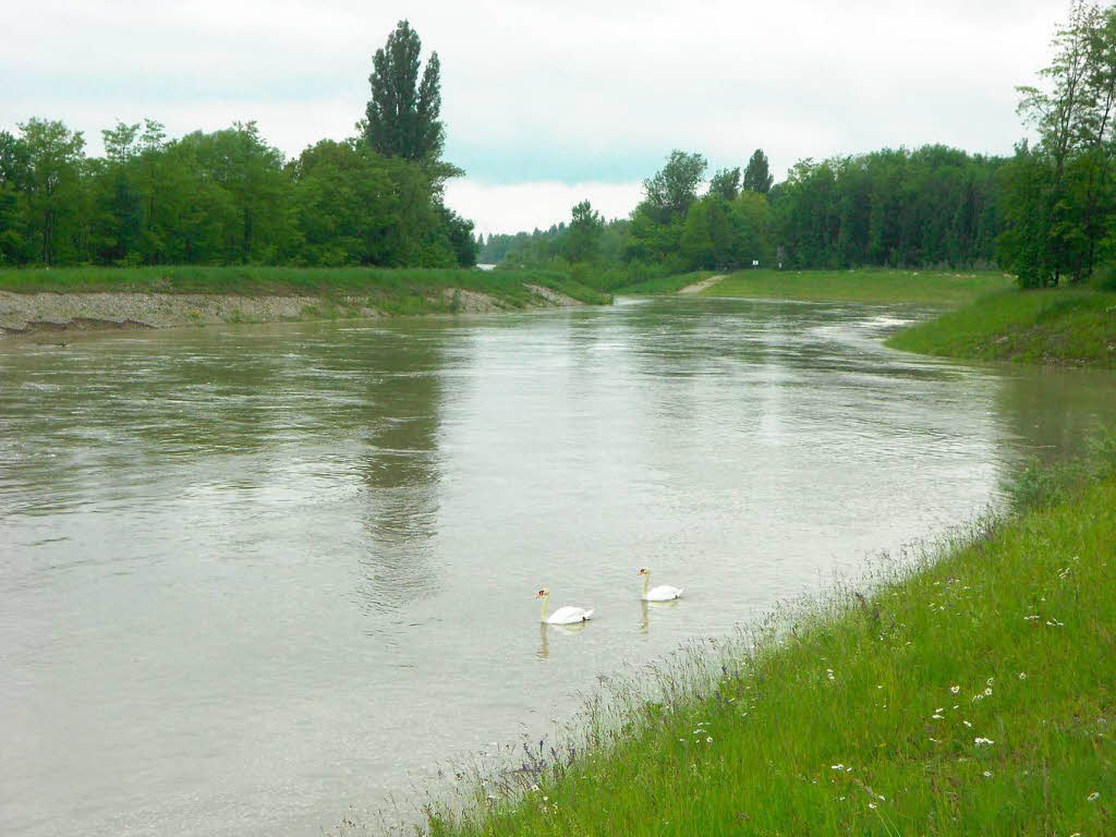 Das Hochwasser an der Kander und am Rhein, wie es die BZ-Redakteure und unsere Leser sahen.