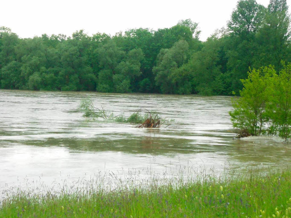 Das Hochwasser an der Kander und am Rhein, wie es die BZ-Redakteure und unsere Leser sahen.