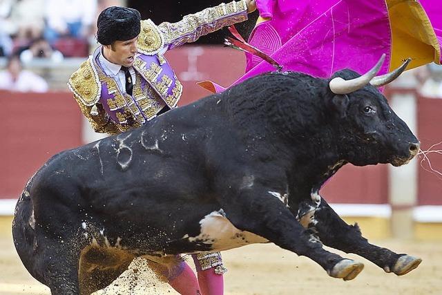So kmpft Spaniens Stierkampf ums berleben