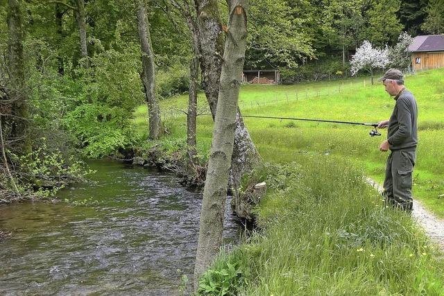 Platz und Personal fr ein Bruthaus gesucht