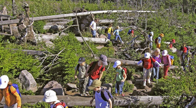 Ein Nationalpark rund um den Ruhestein...tere Touristen in der Region  sorgen.   | Foto: ruhestein