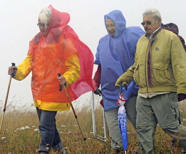 Wanderer sind in der Regel wetterfest,...geber auf dem Hotzenwald festgestellt.  | Foto: dpa