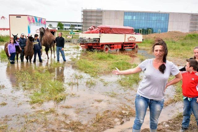 Familienzirkus steht in Malterdingen unter Wasser