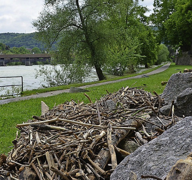 Das Wasser ist wieder weg, das Geschwe...  am Rheinufer bleibt zu besichtigen.   | Foto: Hrvoje Miloslavic