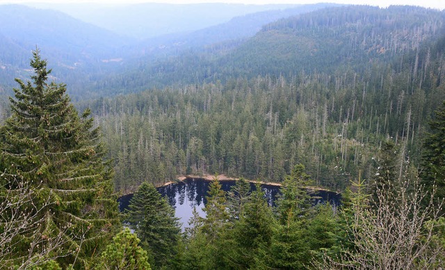 Der Wildsee bei Baiersbronn soll im knftigen Nationalpark Schwarzwald liegen.   | Foto: dpa