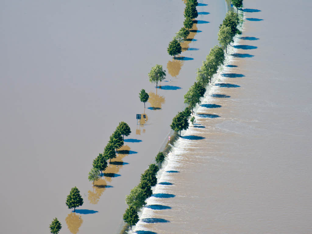 Das Hochwasser der Elbe hat eine Strae nahe Belgern (Sachsen) berflutet.