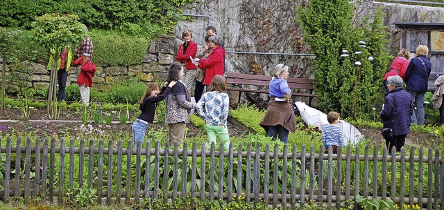 Nicht nur im Schrgarten tummelten sic...tag  Gartenliebhaber aus Nah und Fern.  | Foto: Binner-Schwarz