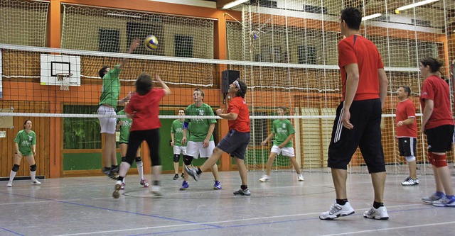 17 Volleyball-Mannschaften beteiligten...pelturnier des Turnvereins Bahlingen.   | Foto: Christiane Franz