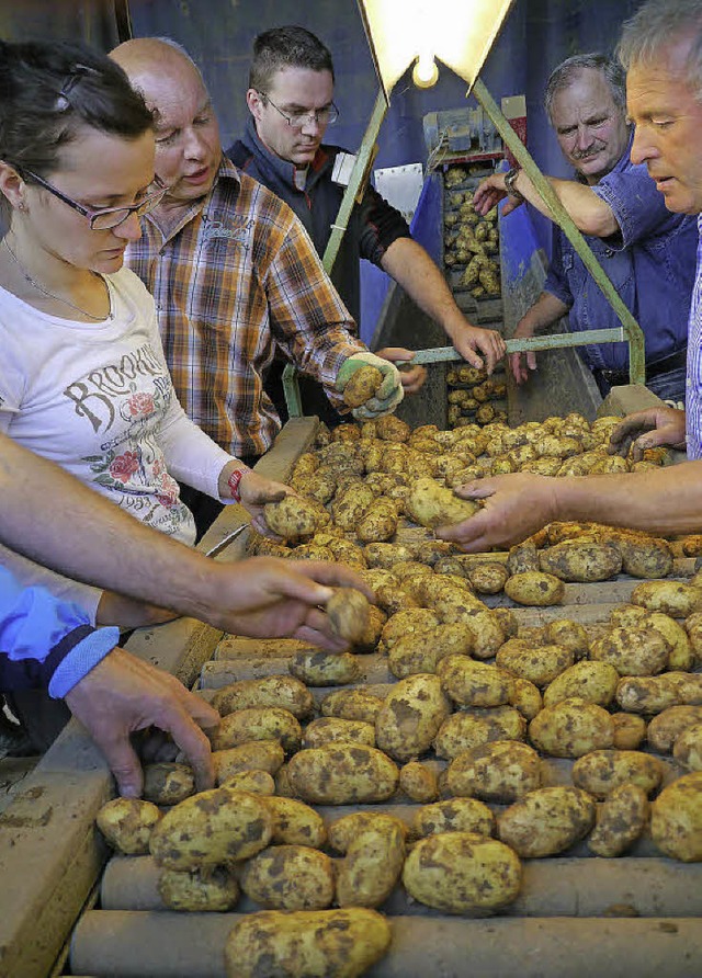 Experten und Praktiker machen sich bei...m ein Bild von den Kartoffelbestnden.  | Foto: Christel Hlter-Hassler