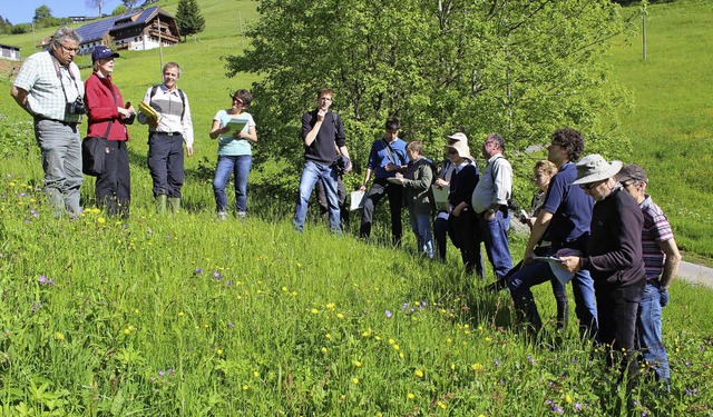 Eine Wiedener Bergwiese schaute sich d...&#8222;Wiesenmeisterschaft&#8220; an.   | Foto: Hermann Jacob