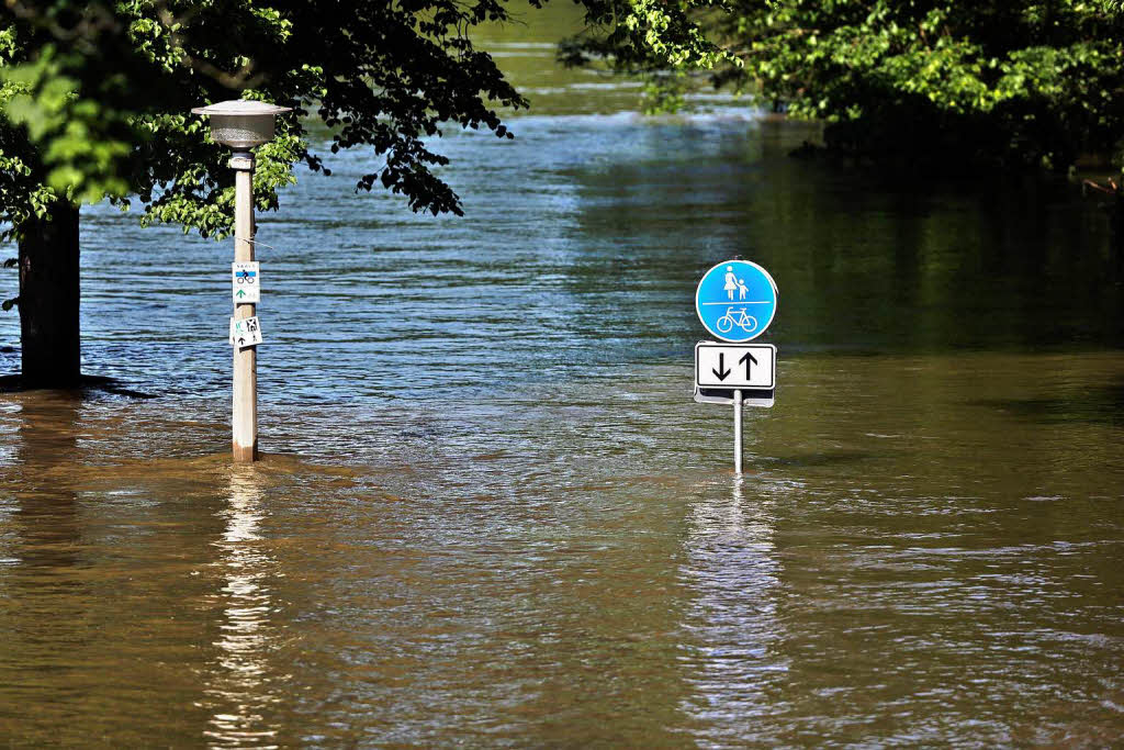 Eine Straenlaterne und ein Verkehrsschild stehen im Hochwasser der Saale in Halle.