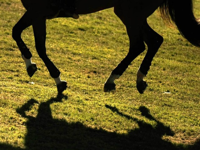 Wieder wurde eine Stute Opfer eines sexuell motivierten bergriffs (Symbolfoto).  | Foto: dpa