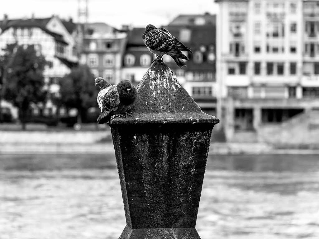 Schwarz-weiß steht Basel gut. Schwarz-weiß steht Basel gut.