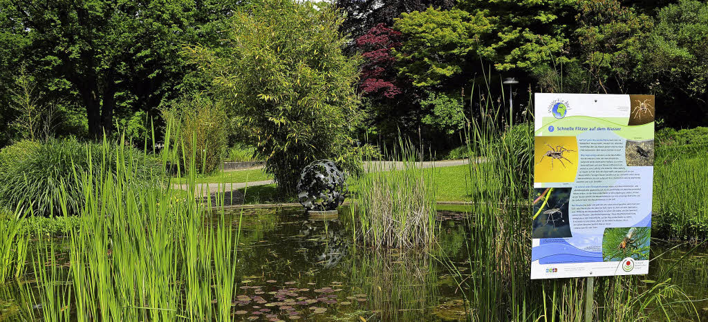 Eine Erlebniswoche im Botanischen Garten Freiburg Badische Zeitung