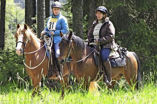 Strahlende Sonne belohnt das Vertrauen der Reiter