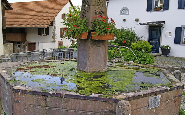 Wer  wei, woher die Algen auf dem Brunnen kommen?   | Foto: Schopferer