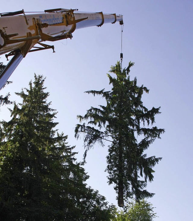 Am Haken des Autokrans wird ein Baum n...ten mit einem Requiem fr die Fichten.  | Foto: Martin Wendel