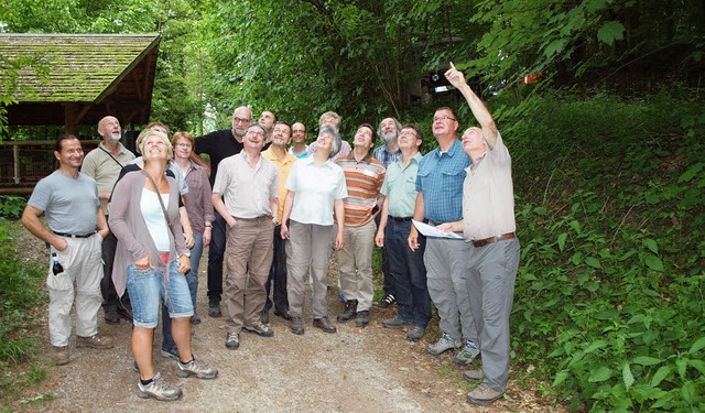 Wertvolle Einblicke in bekamen Kenzingens Gemeinderte bei der Waldbegehung.   | Foto: Michael Haberer