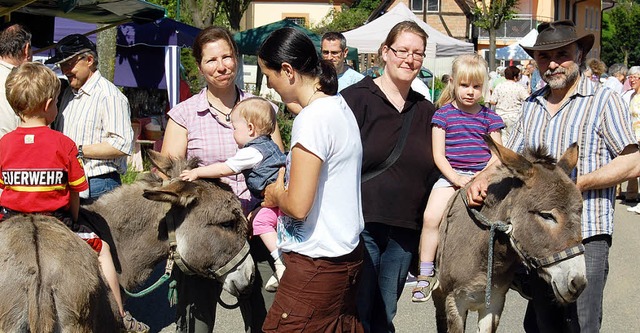 Ein Highlight des Bauernmarkts: Martin...  (rechts) mit den Eseln Mona und Luna  | Foto: Renate Tebbel