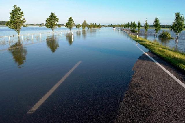 Hochwasser: Deich in Sachsen-Anhalt gebrochen – Angst vor Elbflut