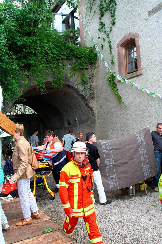 Sechs Meter strzten die beiden Besucher von der Brcke.  | Foto: silvia faller