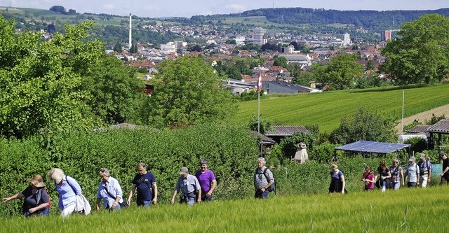 Mehr als 100 Teilnehmer befassten sich...r Bannwanderung mit Stettens Grenzen.   | Foto: Thomas Loisl Mink